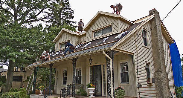 Best Roof Leak Repair  in South Browning, MT